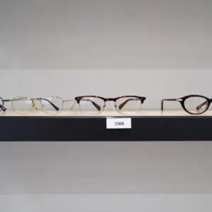 Bifocal Lenses