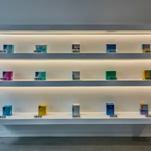 Prescription Contact Lenses