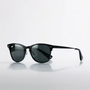 Wayfarer Sunglasses